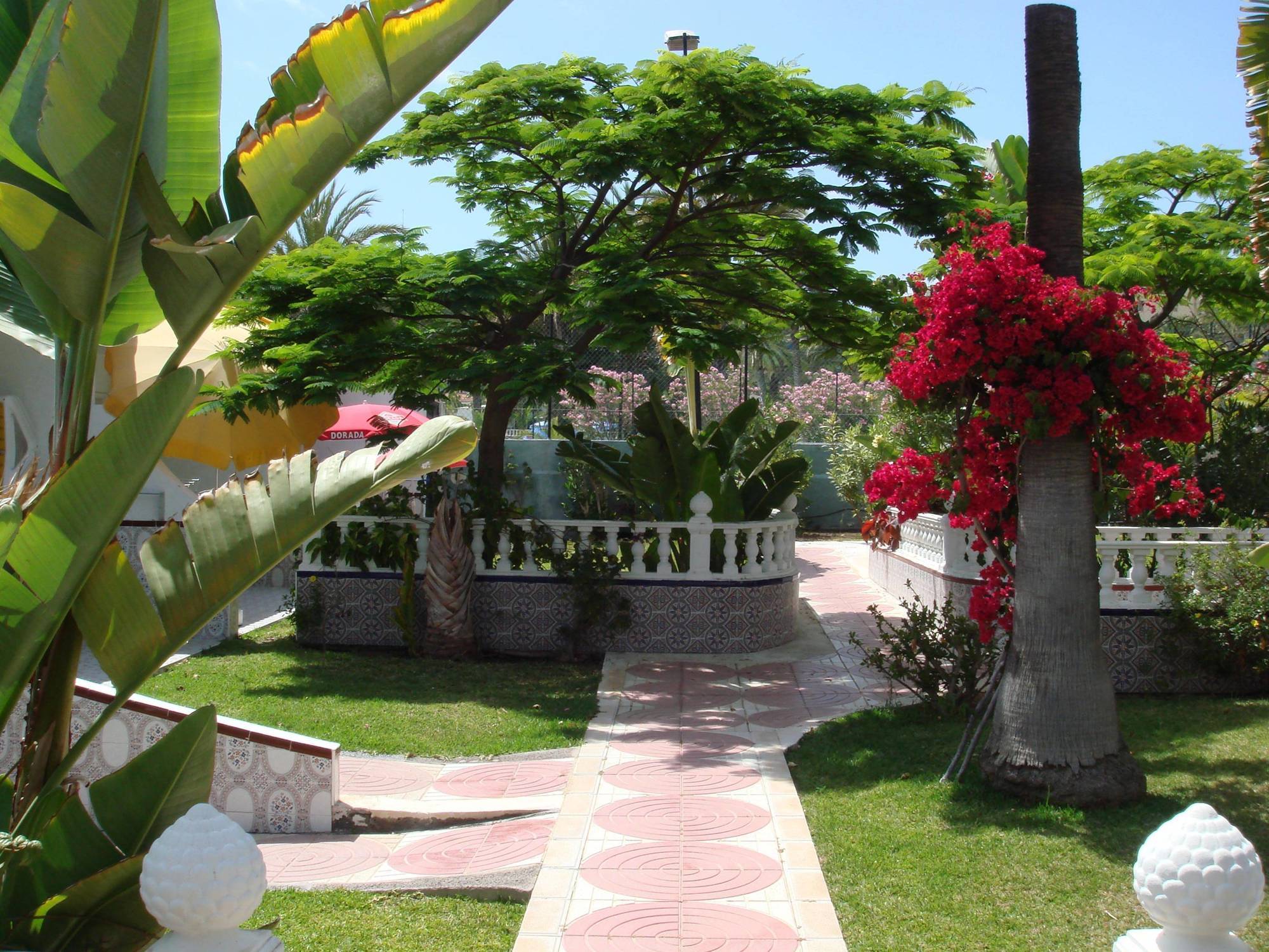 Hotel San Valentin & Terraflor Park Playa del Inglés Esterno foto